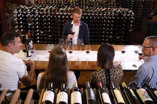 National Wine Centre of Australia Tour and Tasting Experiences