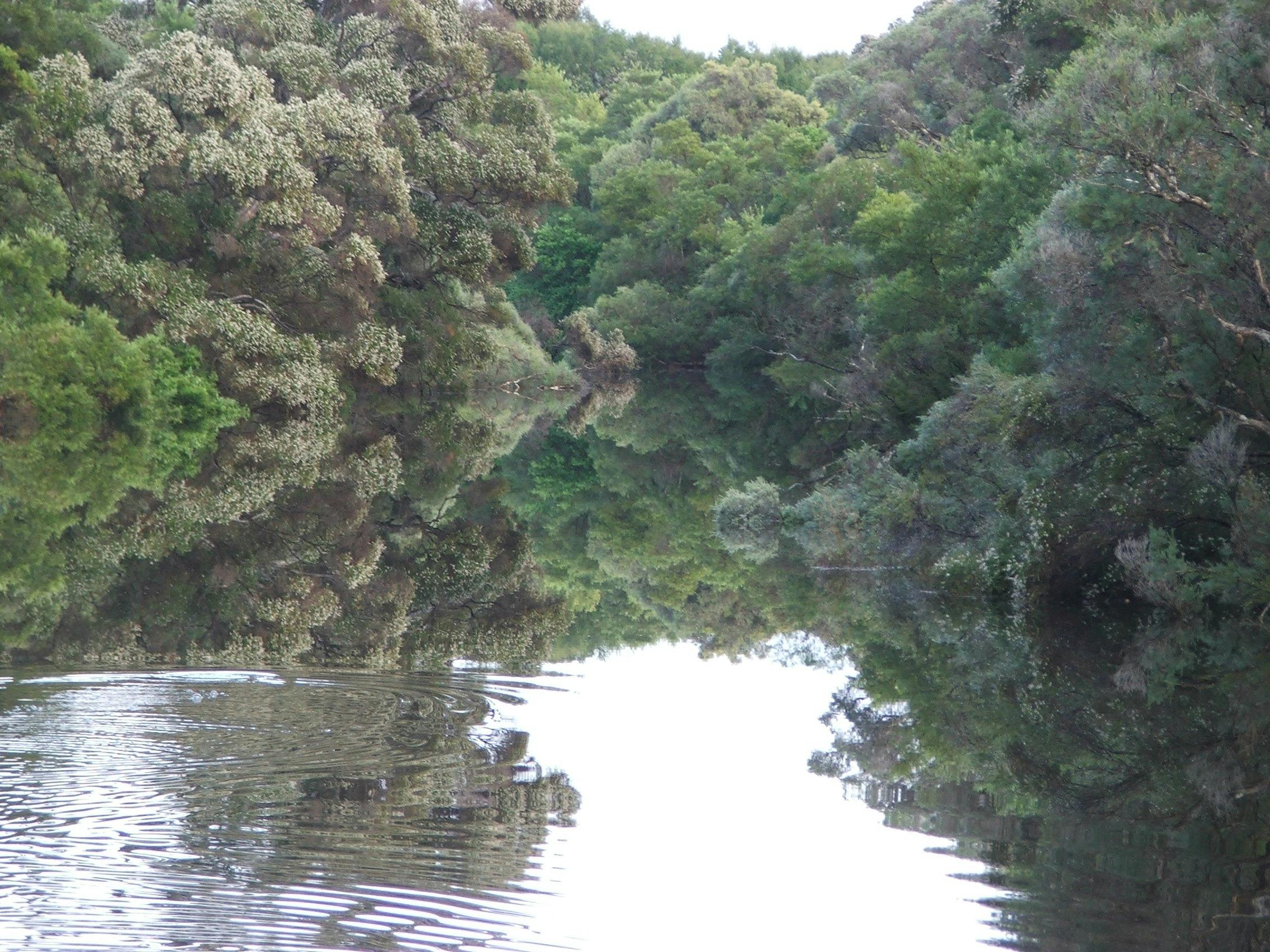 Donnelly River Cruises, Beedelup, Western Australia