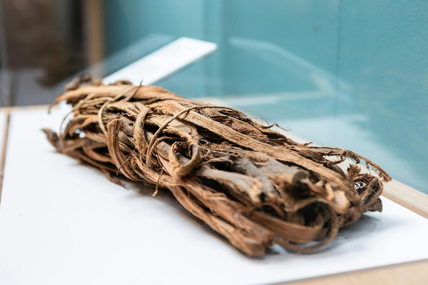 Bundle of bark from the Cockatoo Apple
