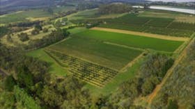 Aerial view of the property