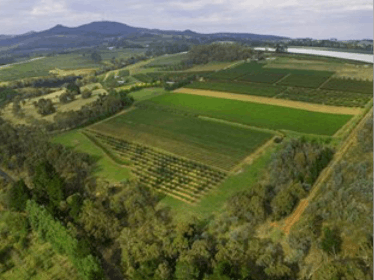 Aerial view of the property