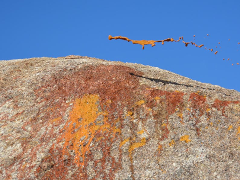 Image of the event 'Ripples - Work from the Ephemeral and Creative Arts Day at the Adelong Falls Gold Mill Ruins'