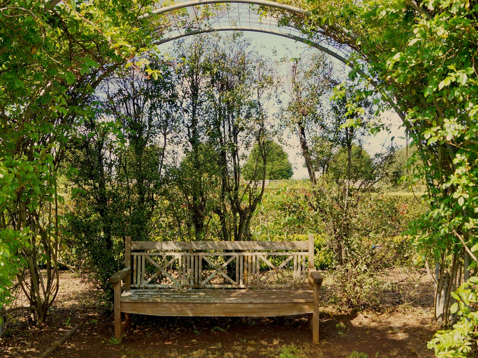 Wedding Day Rose Arch