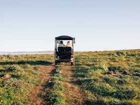Guided buggy parked on a trail with expansive Rumi on Louth island landscape in background.