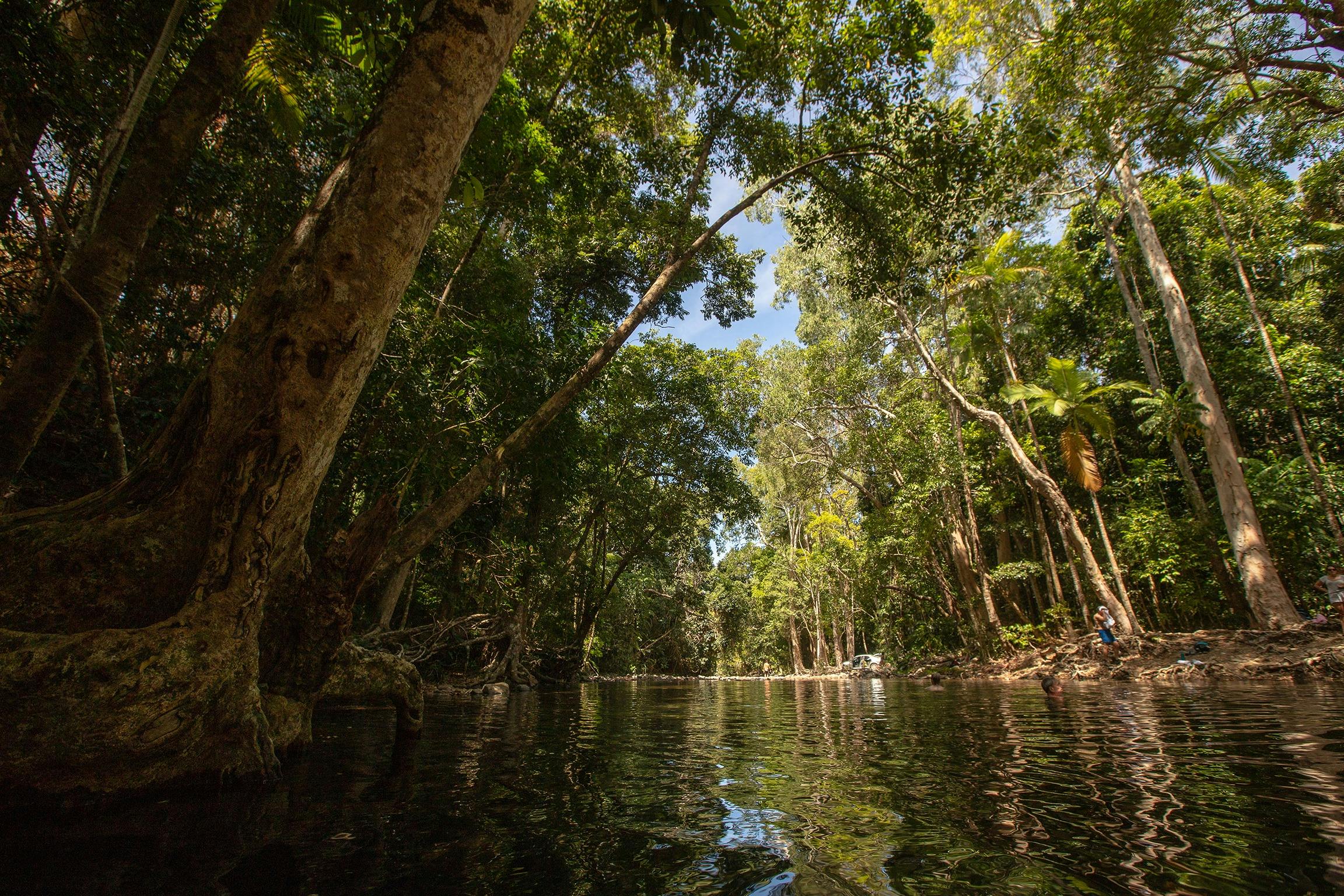 Emagen Creek