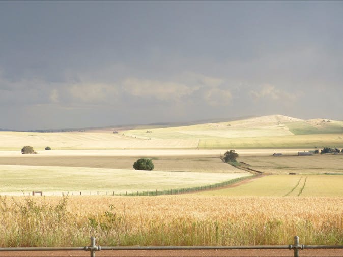 Ossies Homestead Farmstay