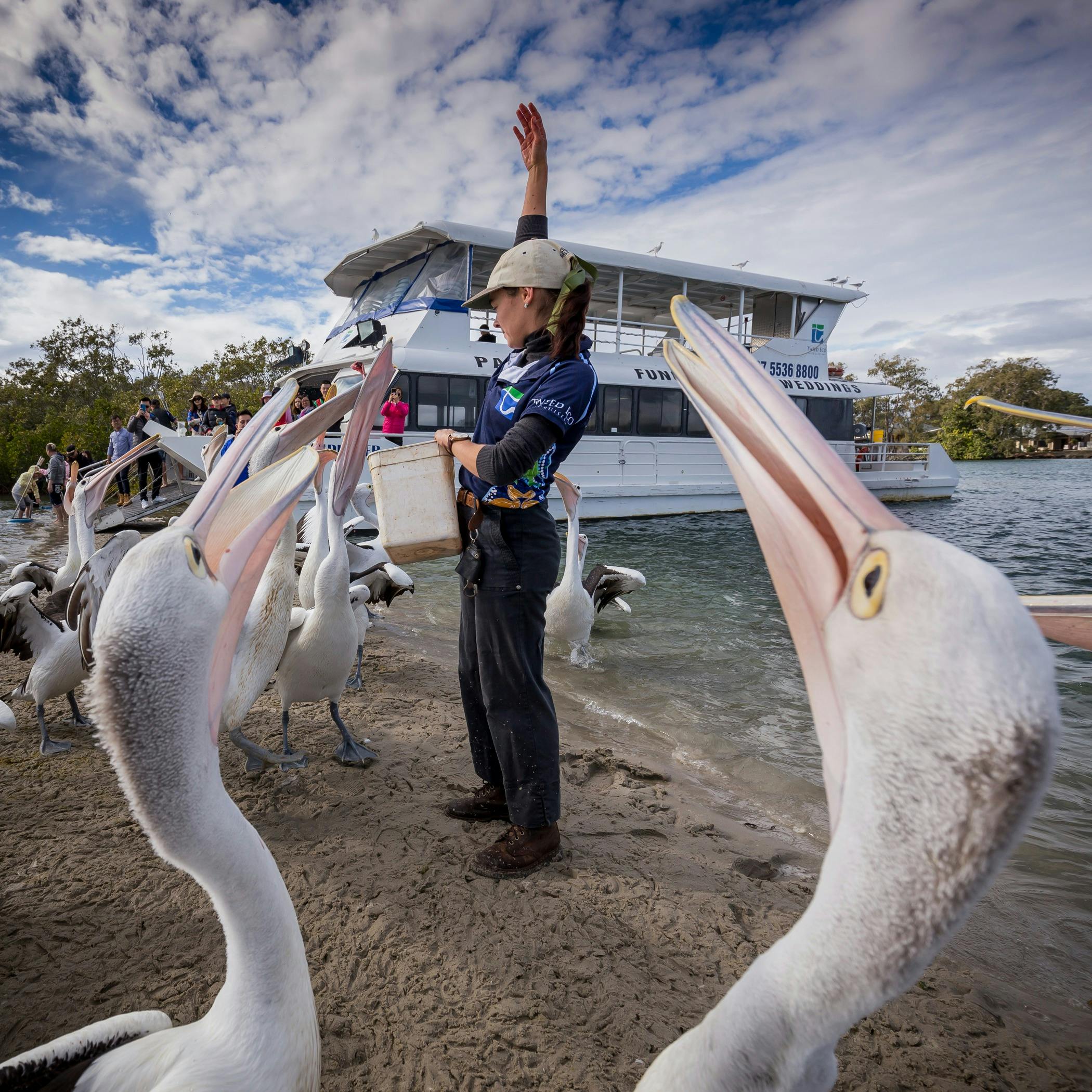 Tweed river cruises the most scenic cruise from Byron Bay to the Gold Coast