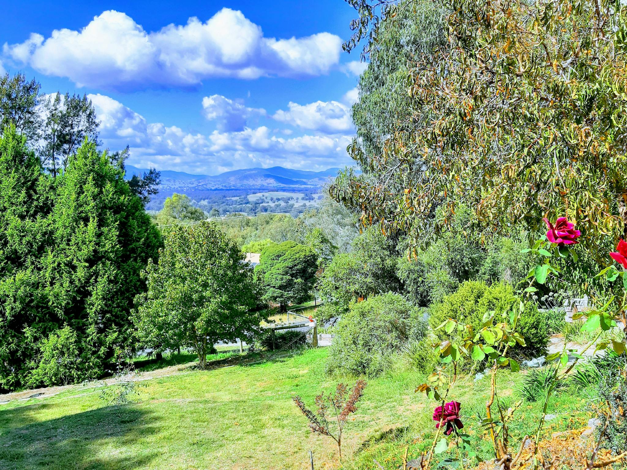 Relax and dine on the patio taking in the stunning views across the Kiewa Valley