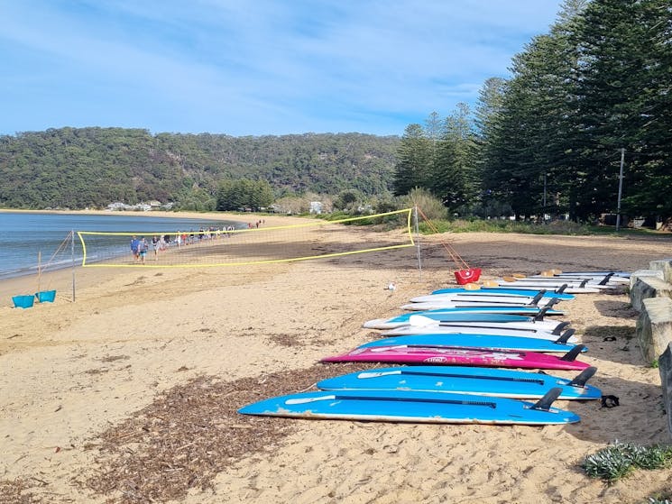 A line of stand up paddle boards next to a beach volleyball net at Patonga beach