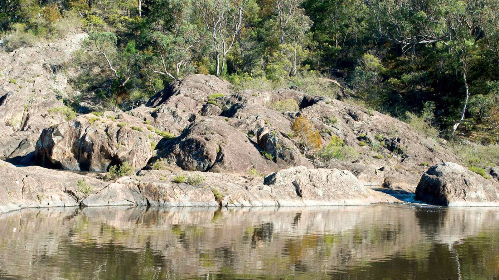 Boonoo Boonoo Falls Walking Track