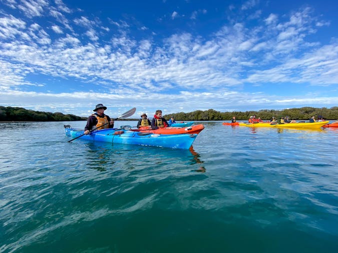 Dolphin Sanctuary Family Tour
