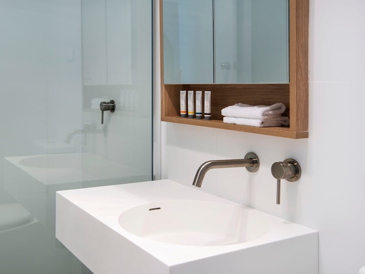 Guest Bathroom vanity with shower and bath amenities