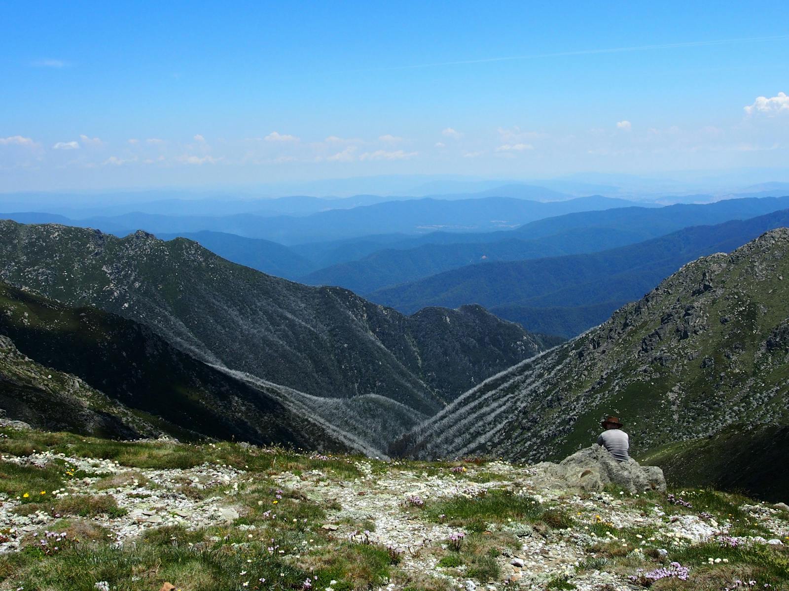 Caruthers Mountain Snowy Mountains, New South Wales