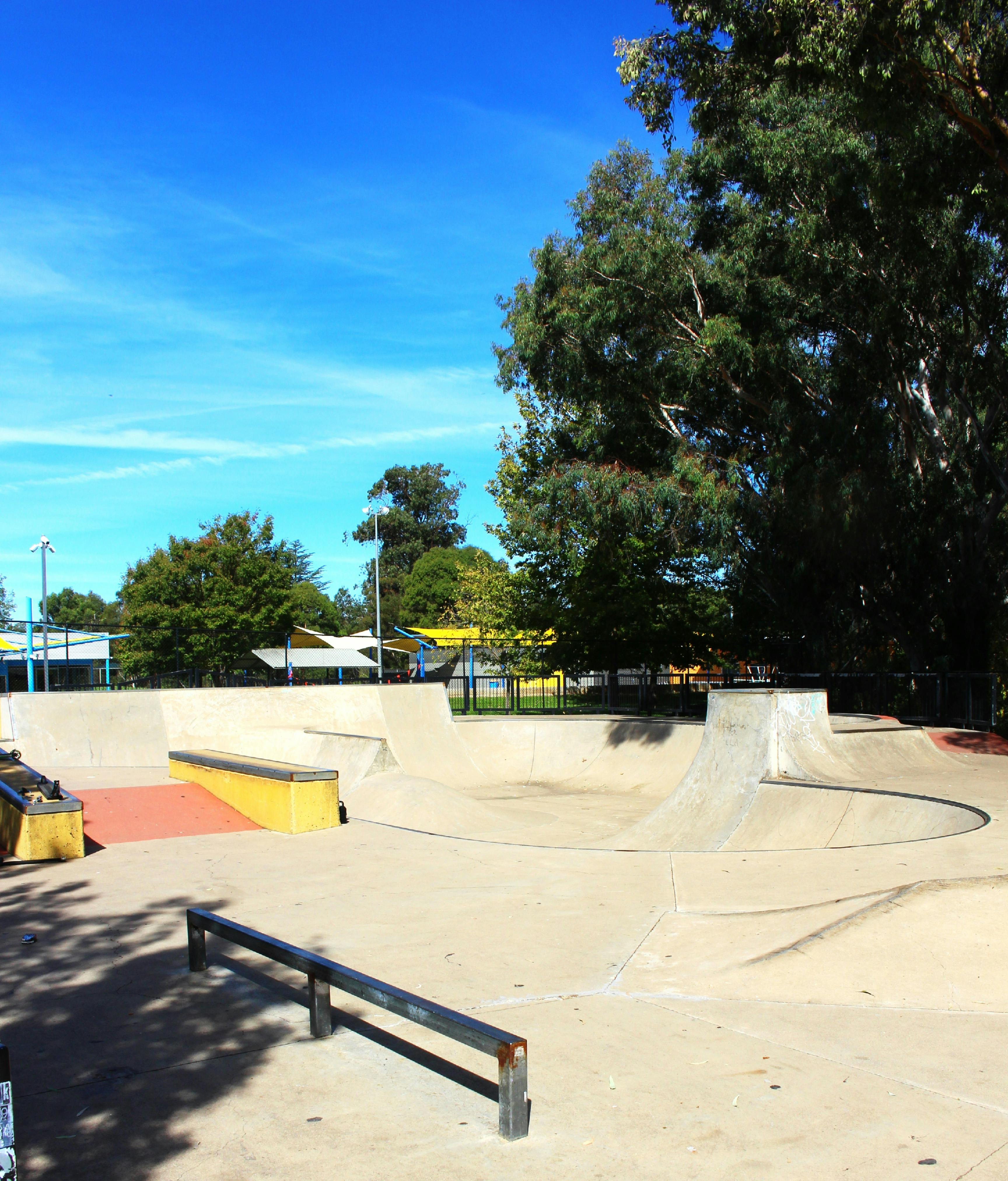 Young Skate Park