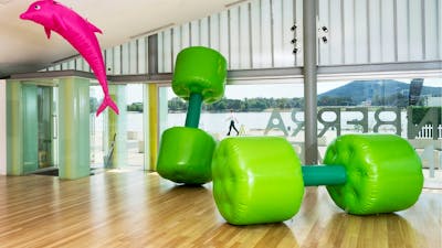 Larger than life green dumbbells and pink dolphin.