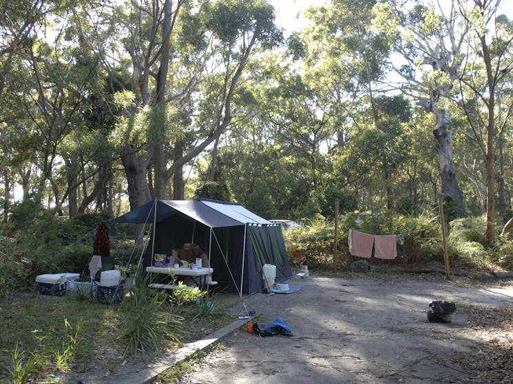 Green Patch campground, Booderee National Park