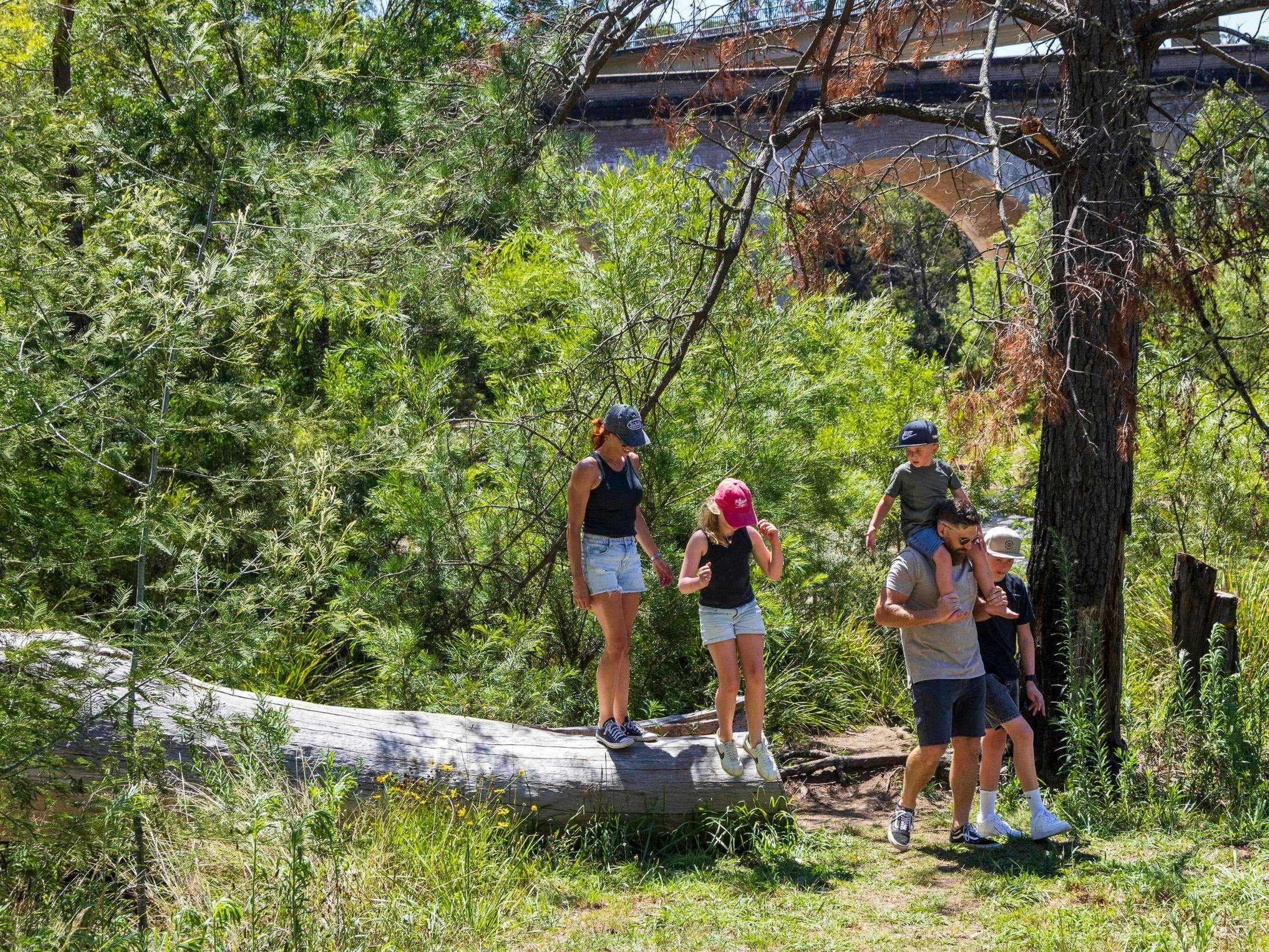 Bush walk near Bargo River Viaduct