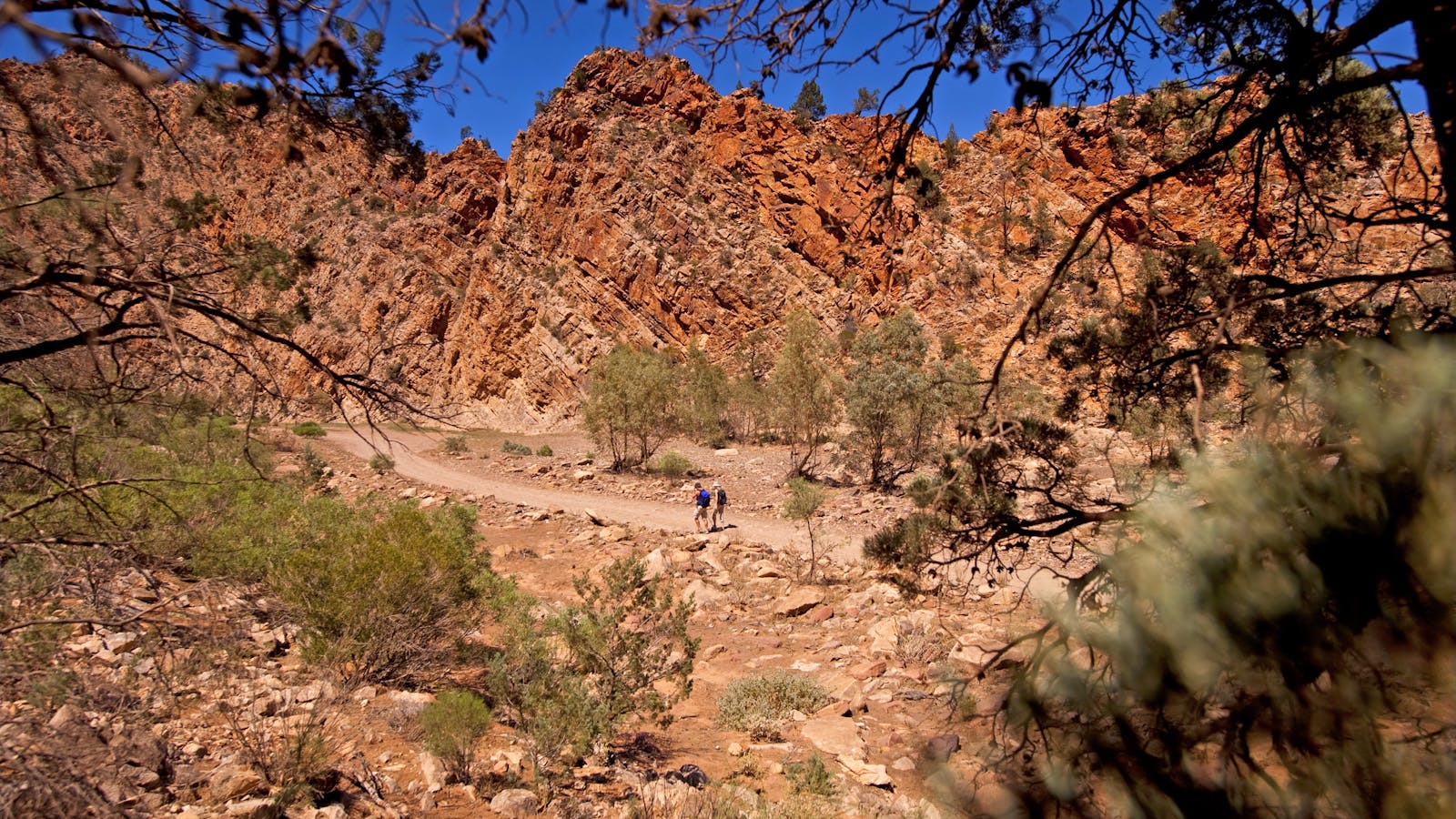 Park Trek Walking Holidays South Australia