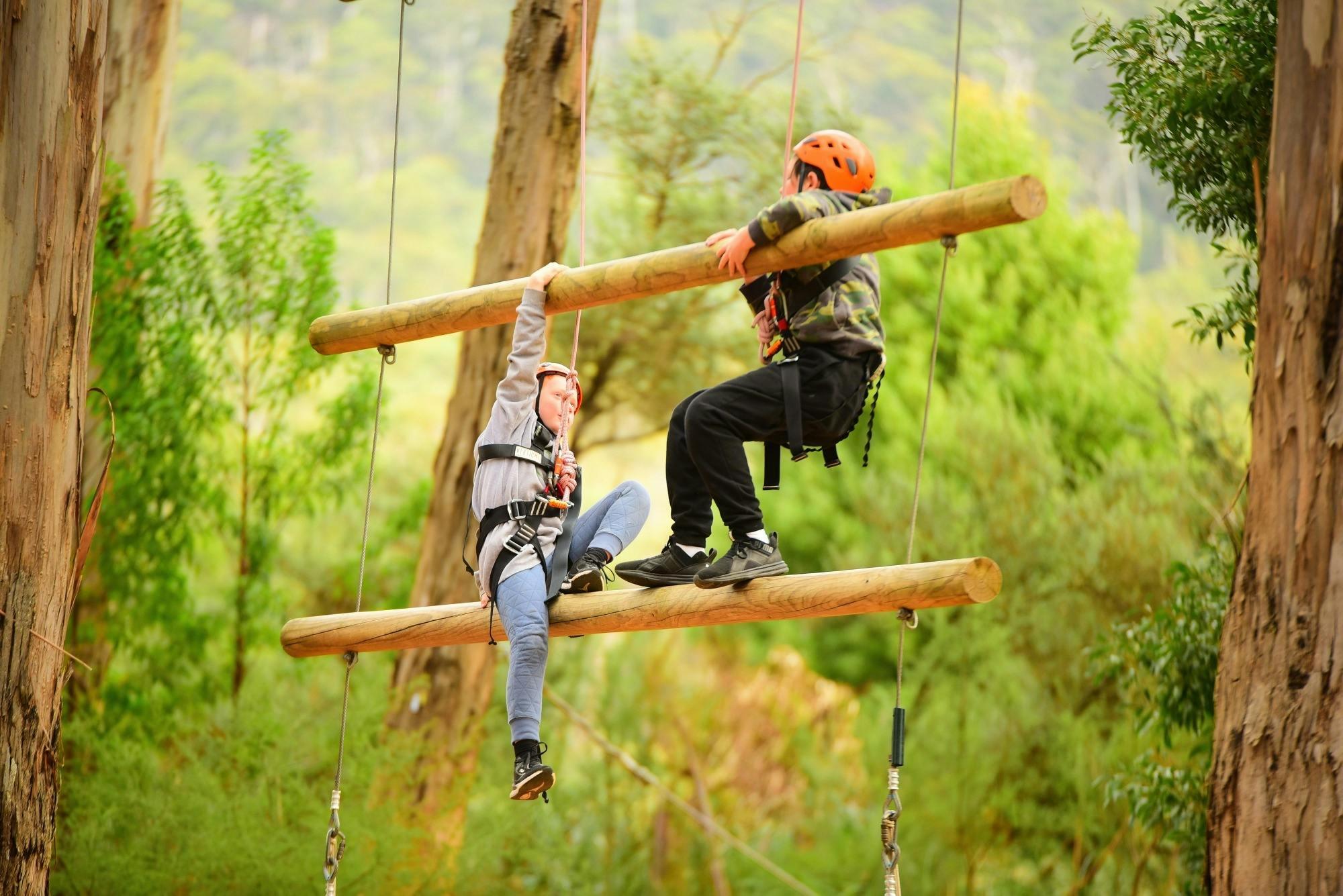 Cave Hill Creek : Winter Camp