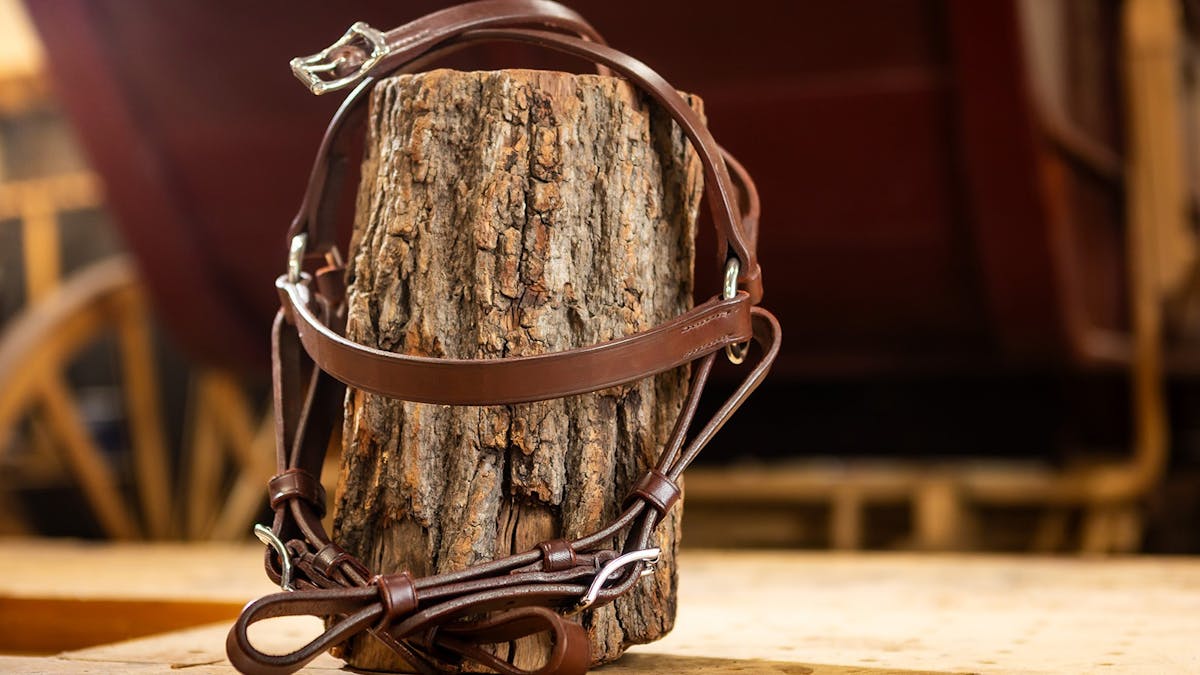 Finished leather bridle displayed on log.