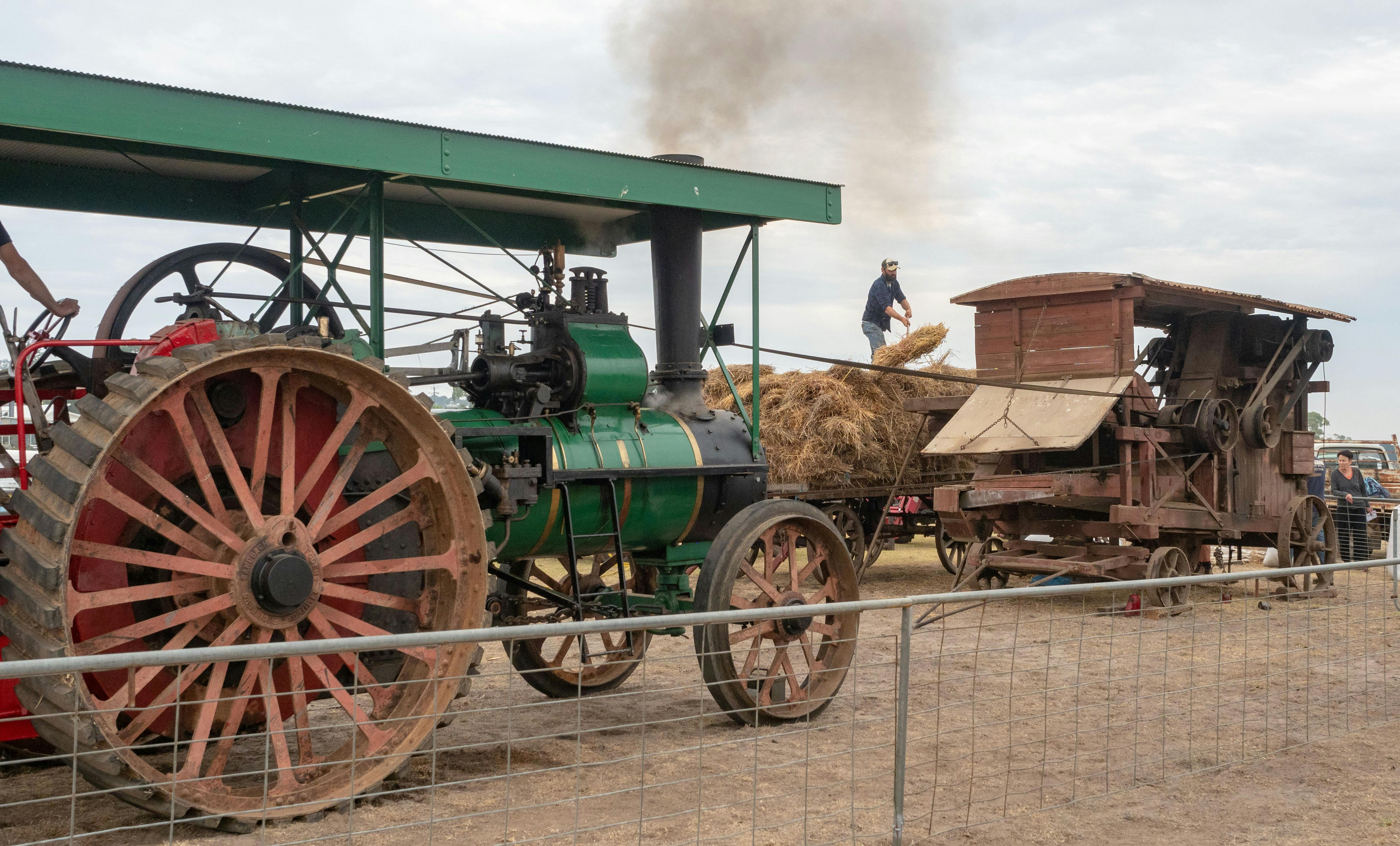 Vintage steam-powered tractor and threshing machinery on display at the Bellarine Agricultural Show.