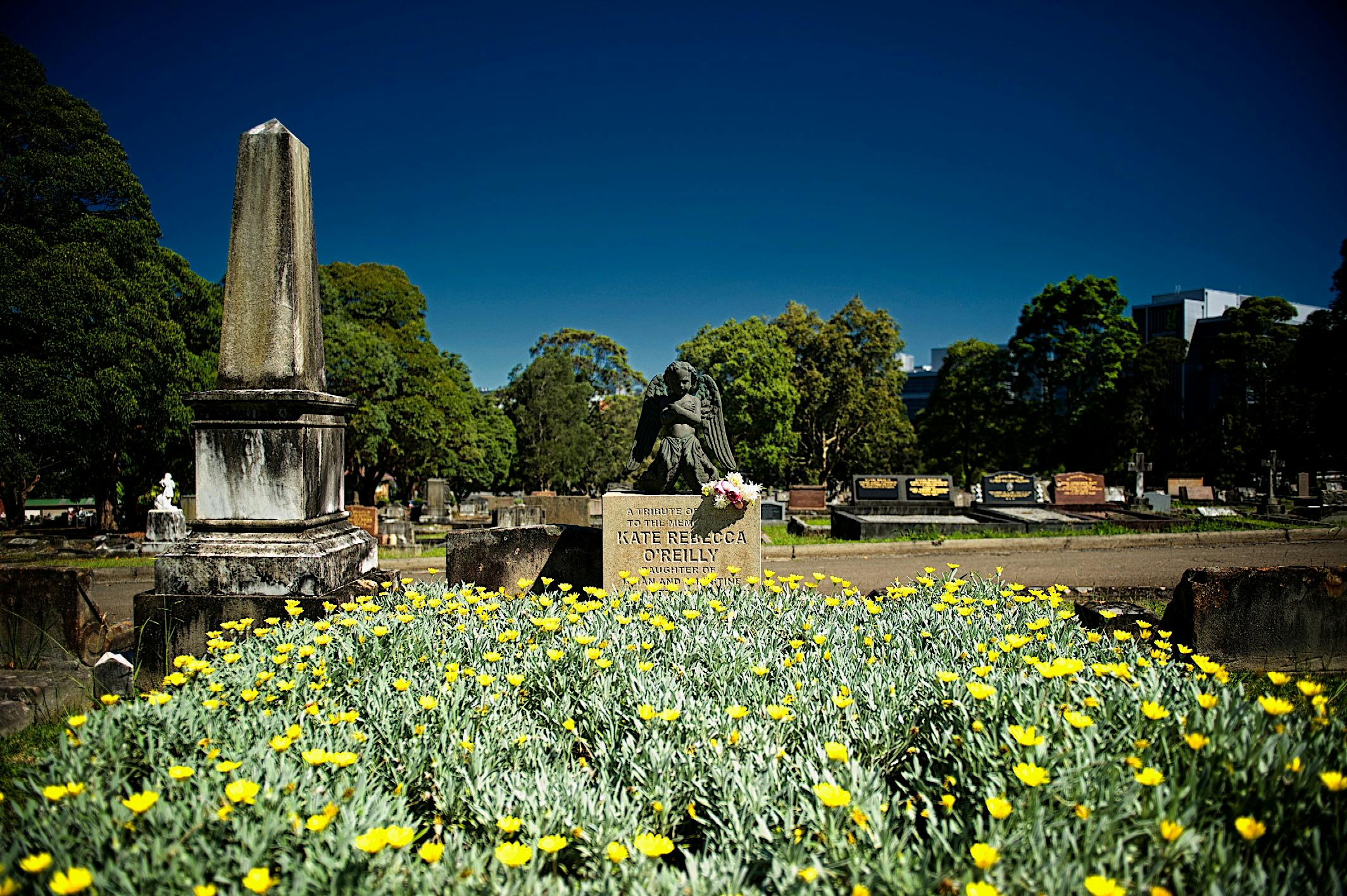 Cemetery