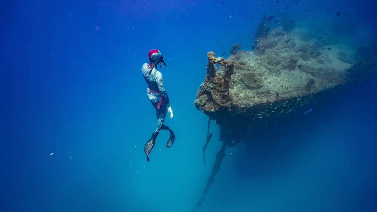 Freediving Course Sunshine Coast (PADI Certified)