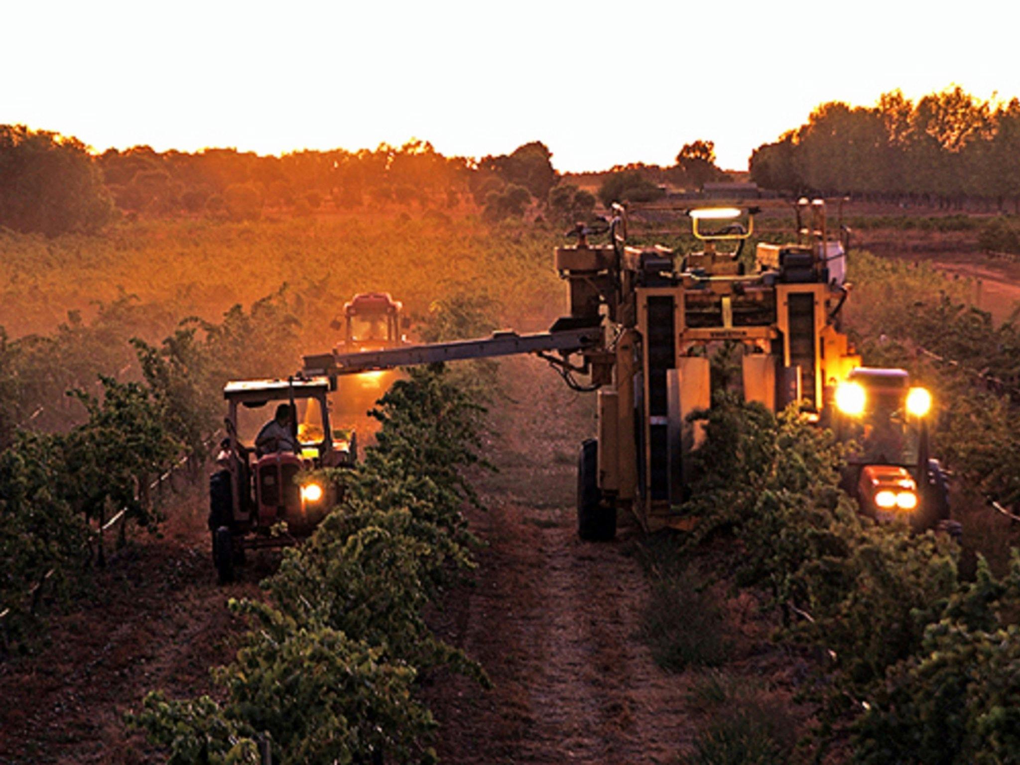 Harvest time