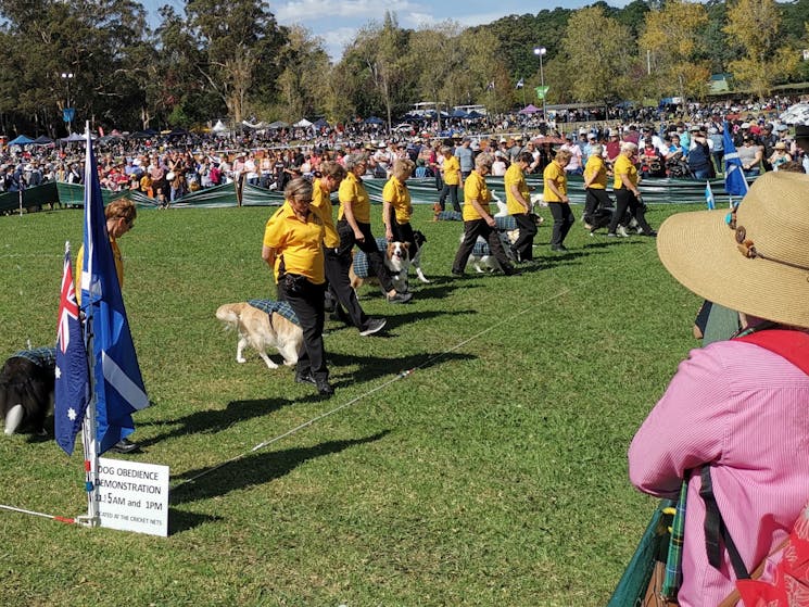 Bundanoon Highland Gathering Festival Nsw Holidays