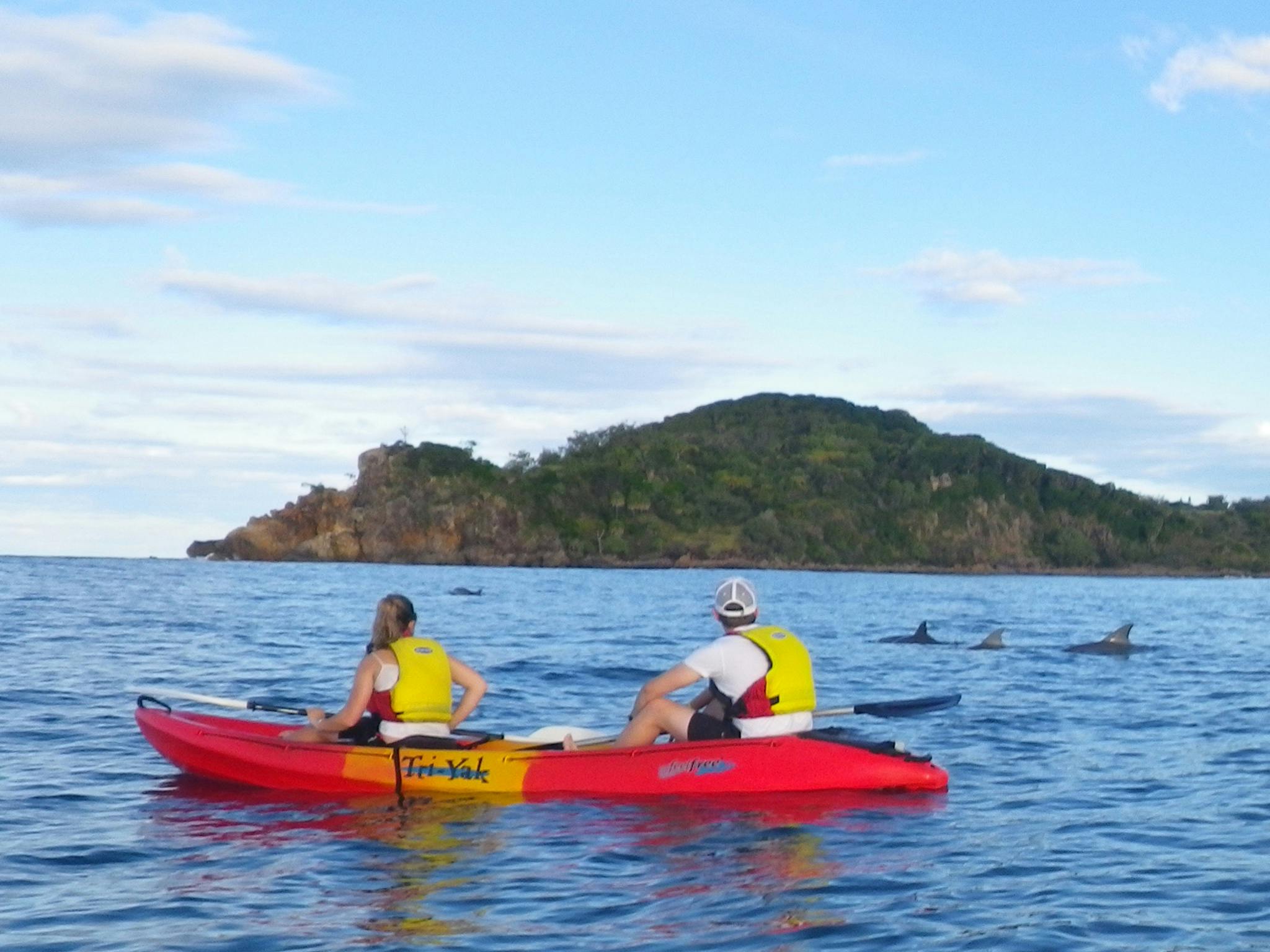 Dolphin spotting with 1770 Liquid Adventures