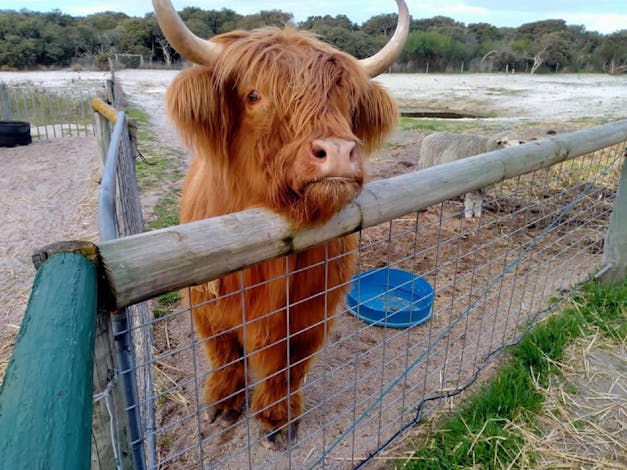 Esperance Bird and Animal Park