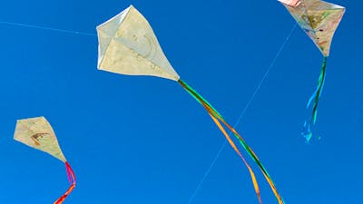 Kites in Sky