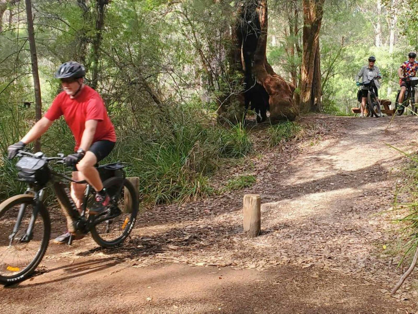 Australian Cycle Tours