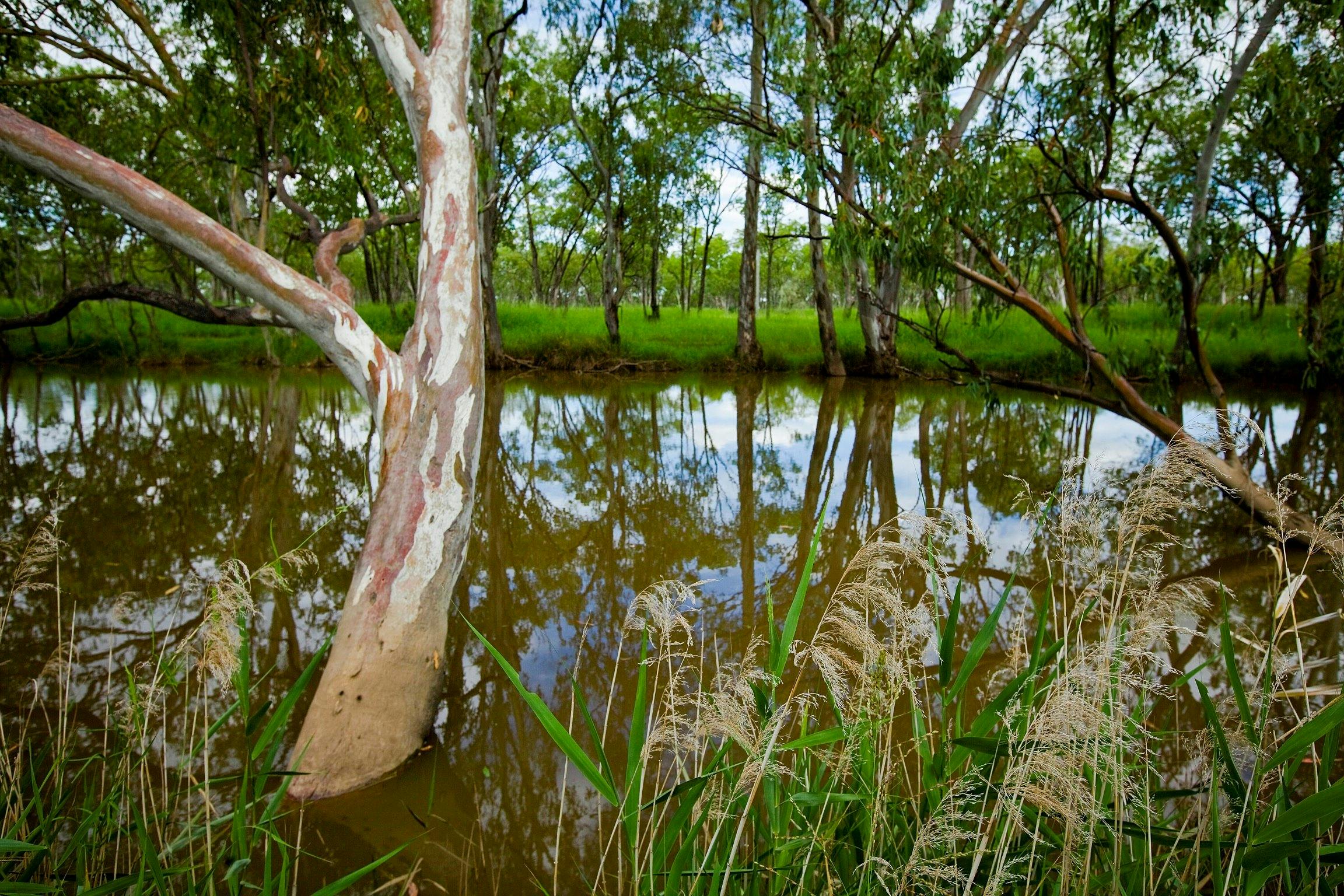 Injune Lagoon Walk