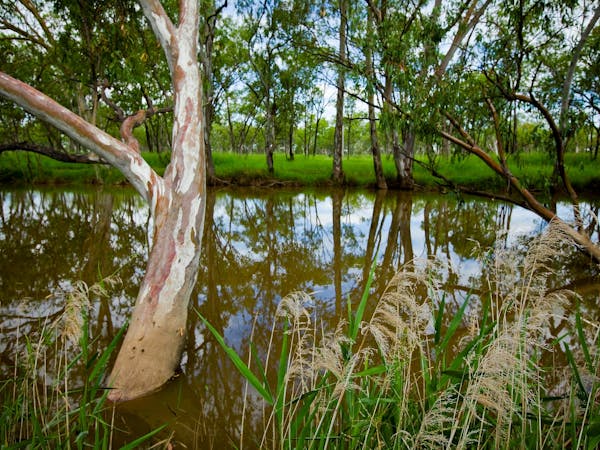 Injune Lagoon Walk Injune Lagoon Walk