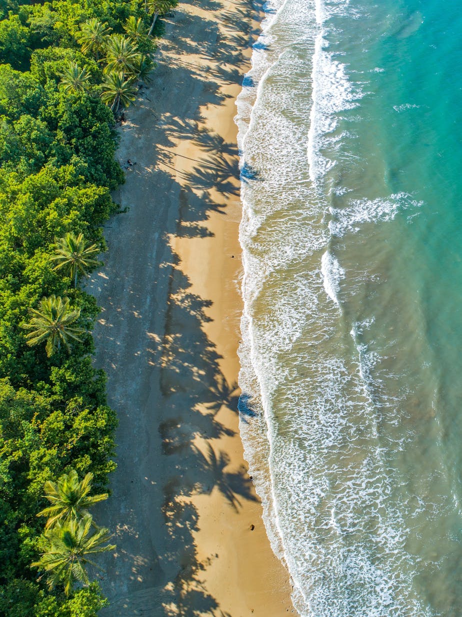 Mission Beach Visitor Information Centre Cairns & Great Barrier Reef Mission Beach Visitor Information Centre Cairns & Great Barrier Reef