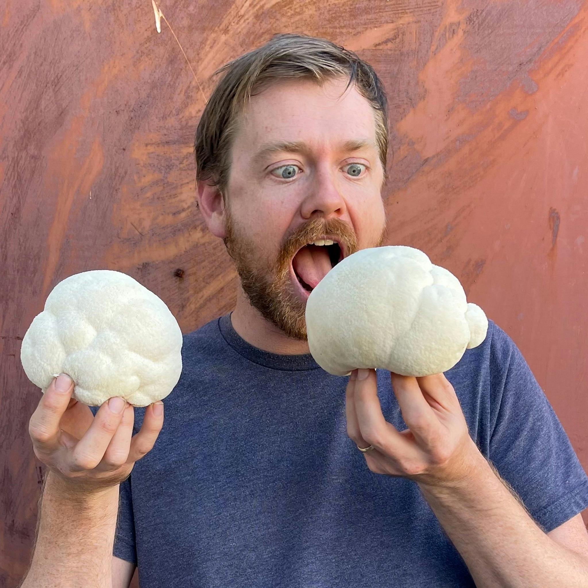 Mickey Pascoe CoFounder of Little Acre holding a large lions mane mushroom
