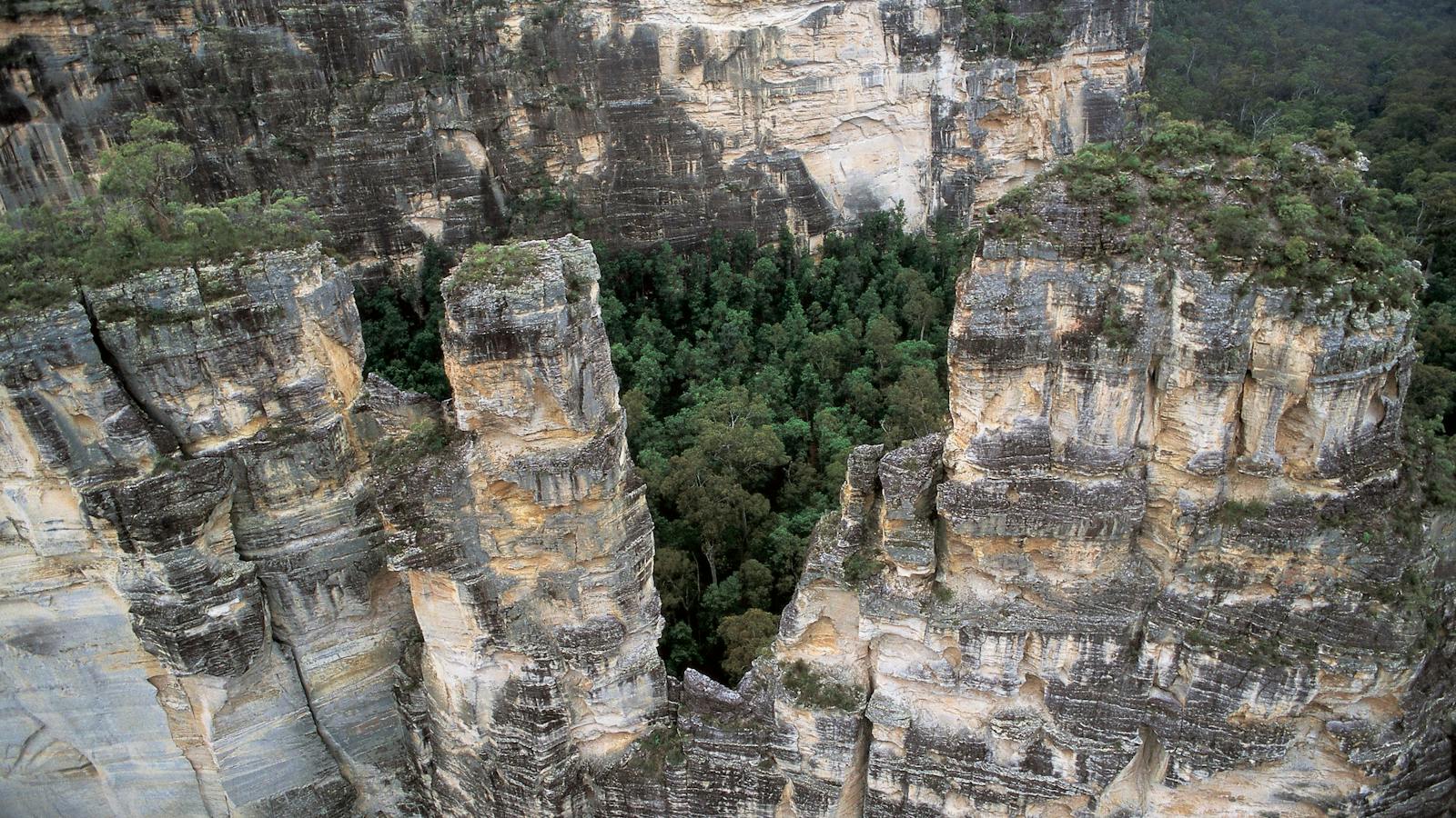 Carnarvon Gorge