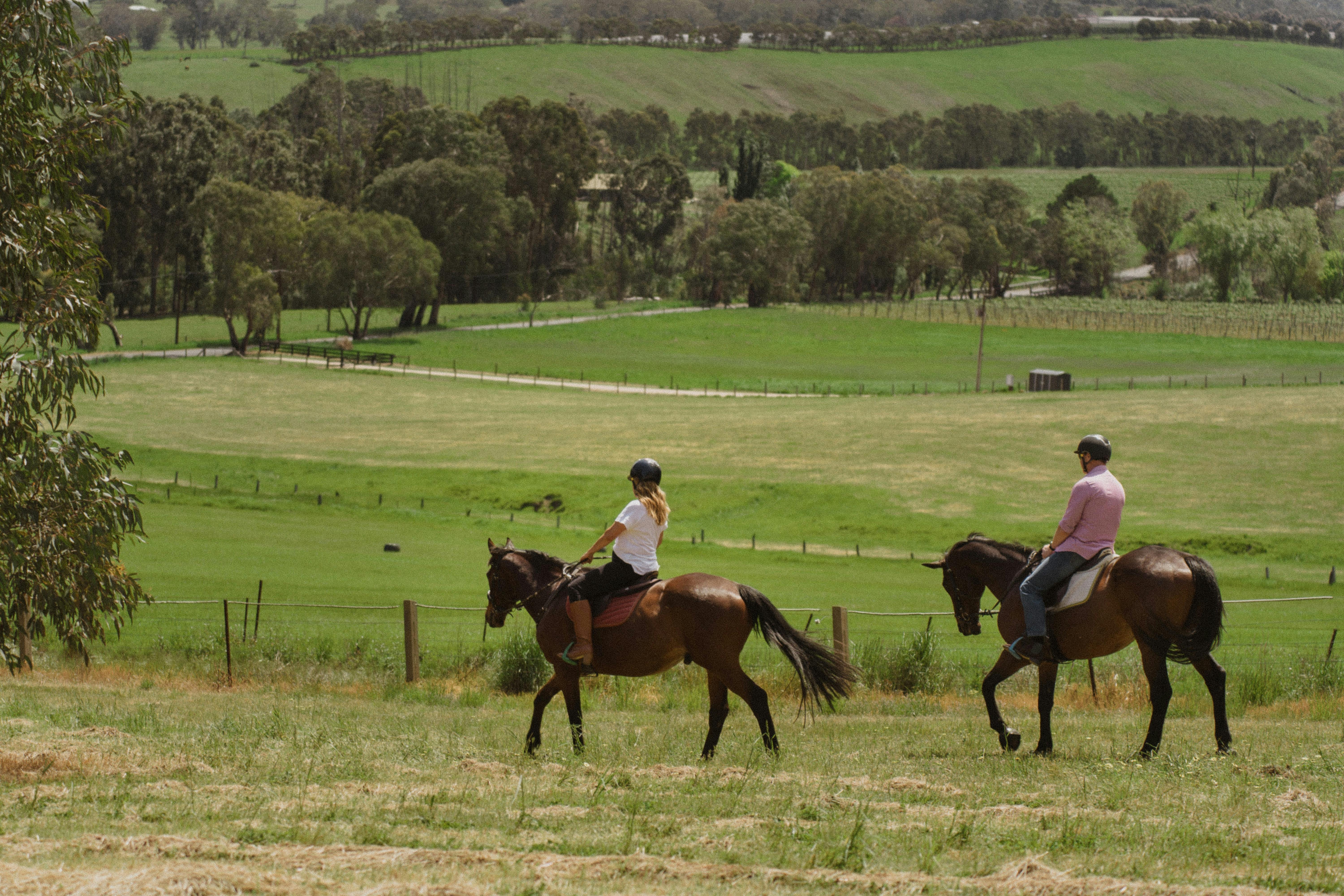 Horse Riding at Petaluma Wines