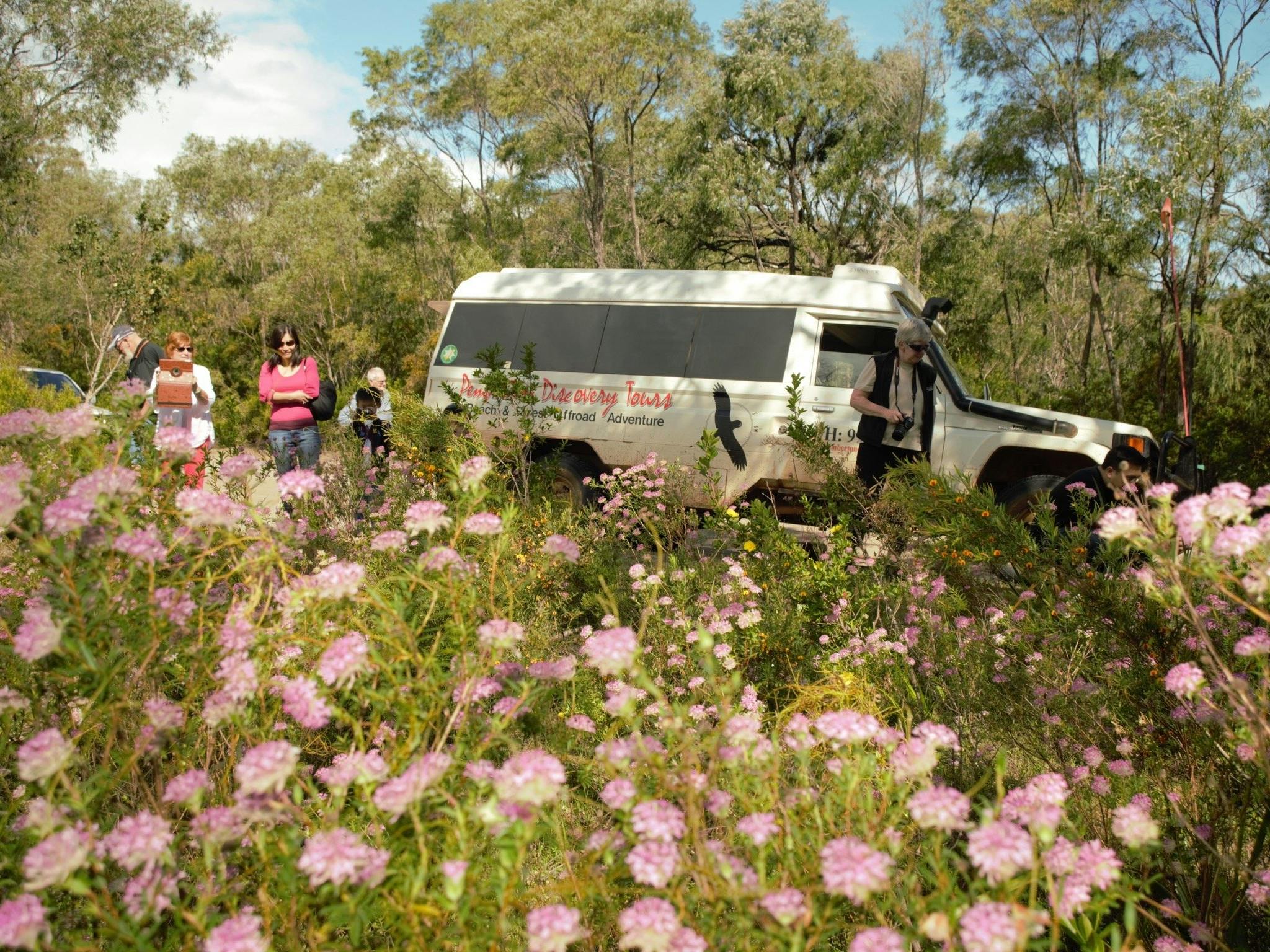 Pemberton Discovery Tours, Pemberton, Western Australia
