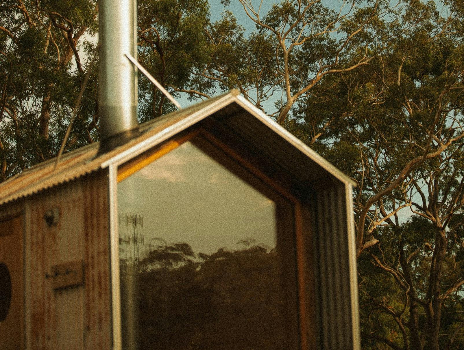 Sally the Skywatcher at B Farm by Murrays