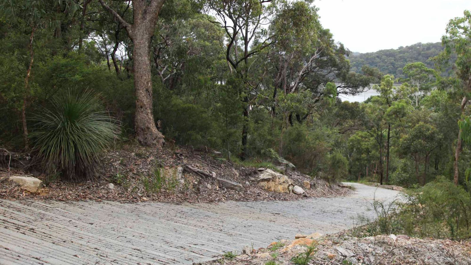 Great North Walk – Ku-ring-gai Chase National Park