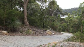 Great North Walk – Ku-ring-gai Chase National Park