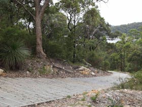 Great North Walk – Ku-ring-gai Chase National Park