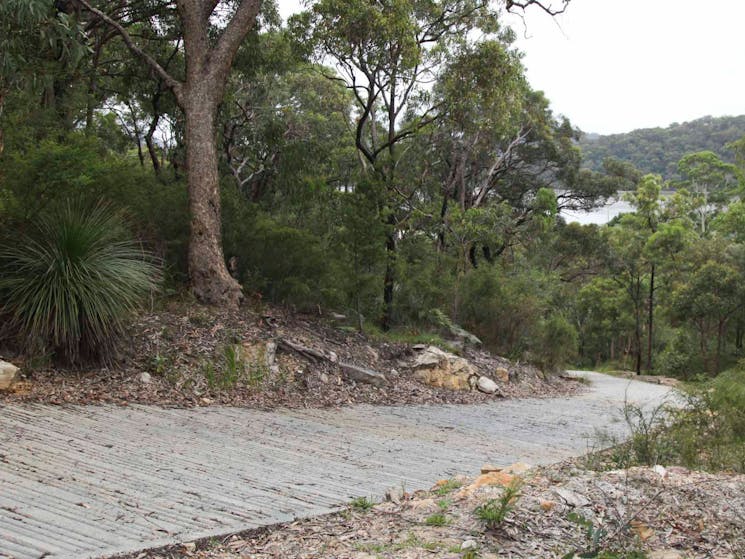 Jerusalem Bay to Brooklyn Track, Ku-ring-gai Chase National Park. Photo: Andy Richards