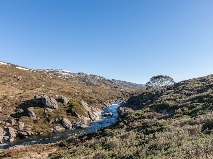 A Snowy Mountains stream