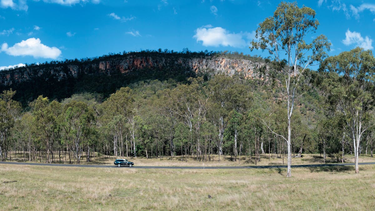 Mt Walsh