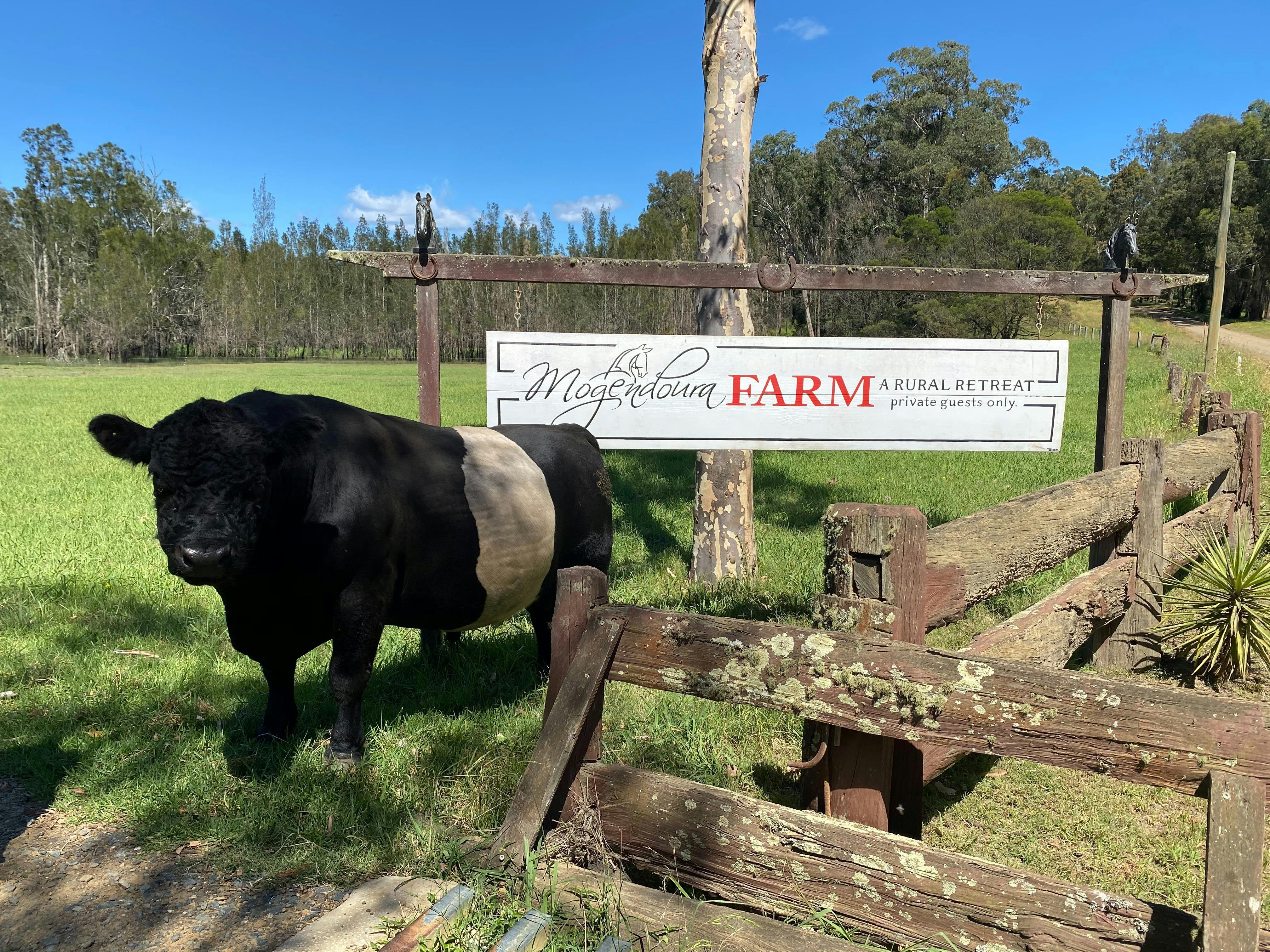 Book one or all three