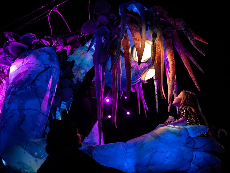 Marri Dyin the six-metre tall puppet