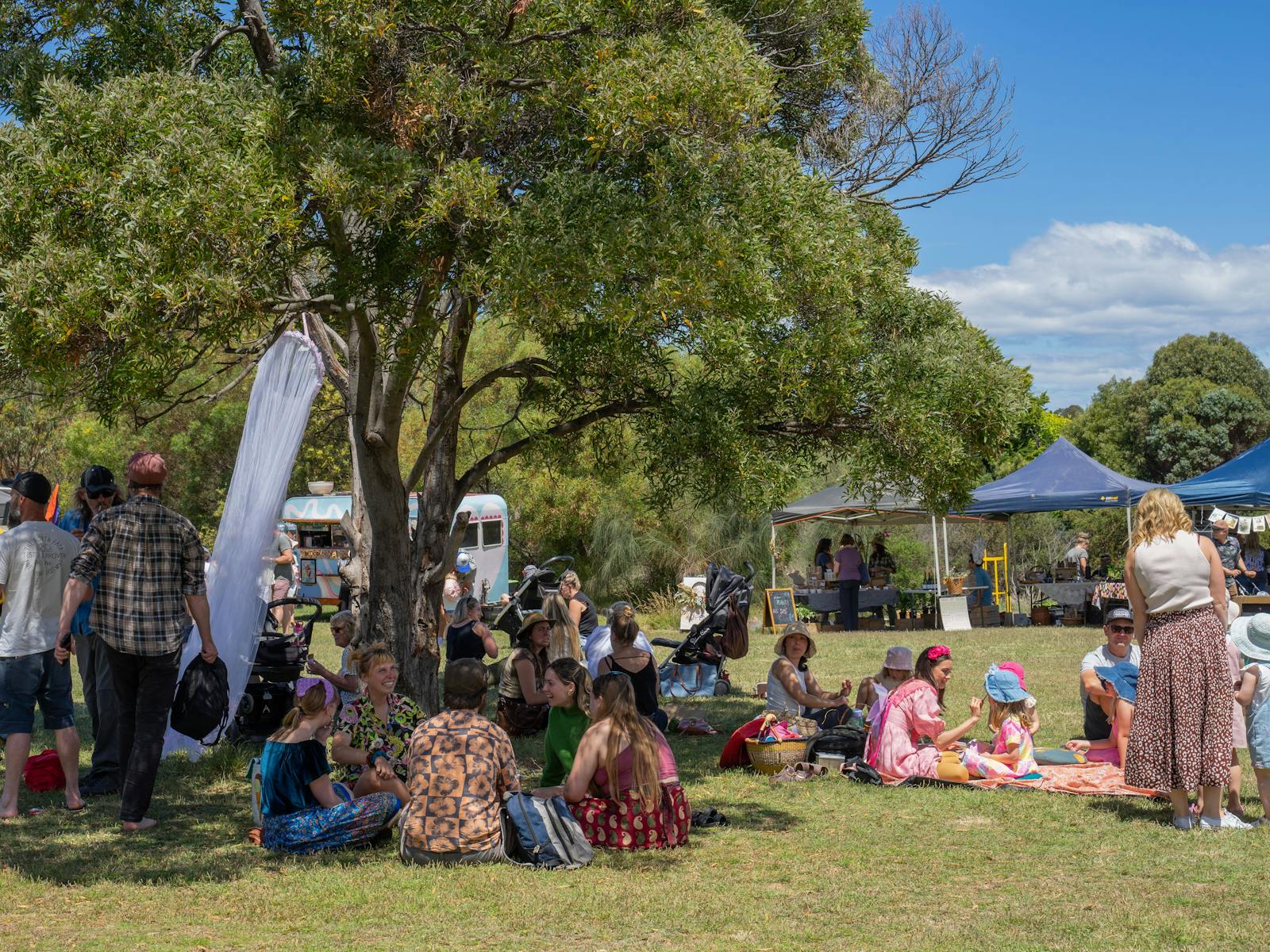 Participants at our Summer Edition market sitting under the blackwood tree.